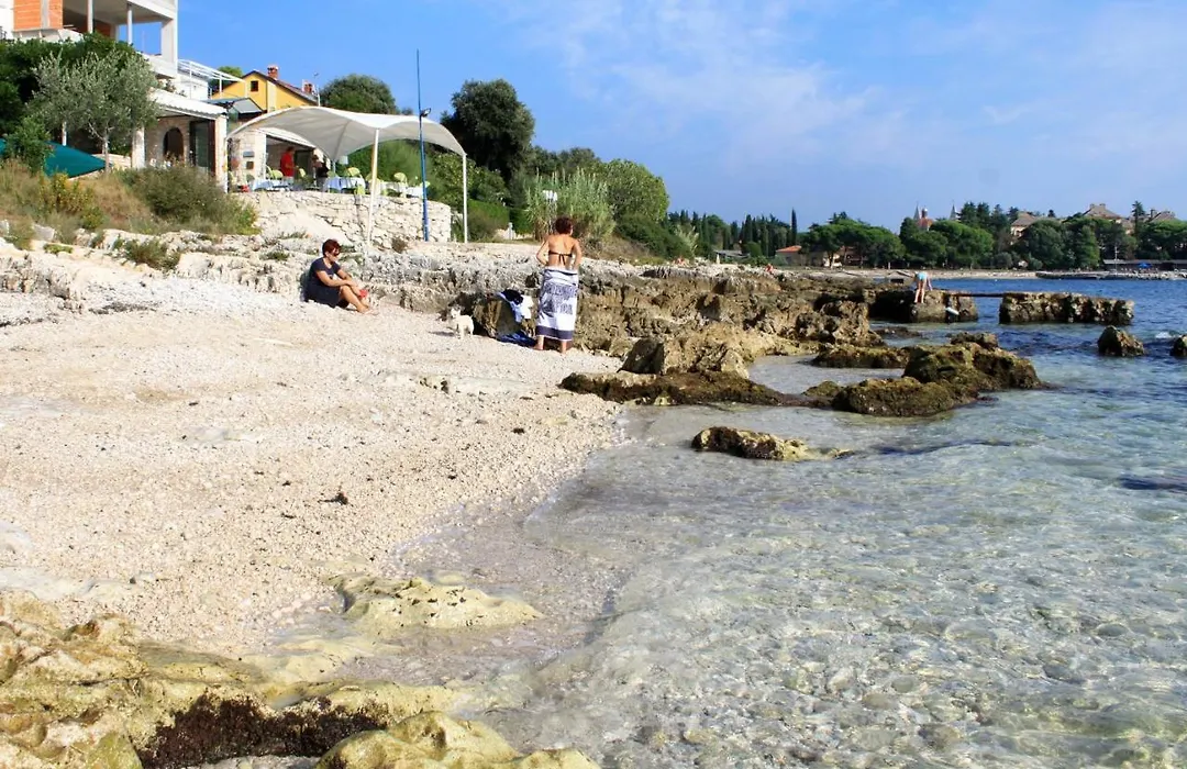 Apartments And Rooms With Parking Space Rovinj - 16796-1