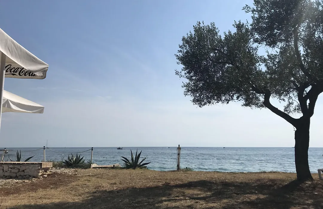 B&B Sea Joy Rovinj-1