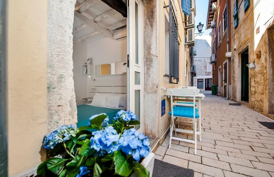 Room Marinata-1