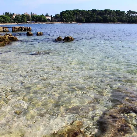 Apartments And Rooms With Parking Space Rovinj - 16796-3
